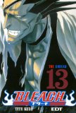 BLEACH 13