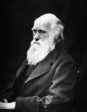 EL ORIGEN DE LAS ESPECIES